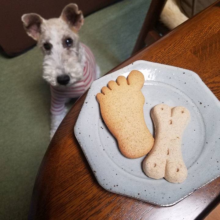 Cb1add85 d8f2 48aa b64c 2cfa2a2be396 1549086484161