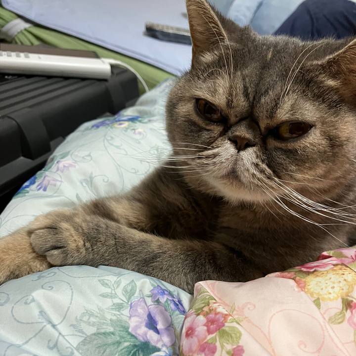 Cb1afc66 765b 4d3b 9cff 4d274f9a40fc 1767363487272