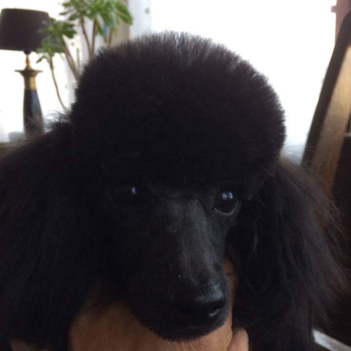 Cb1b039f dddd 4343 a53c 1312dff13fea 1515997227090