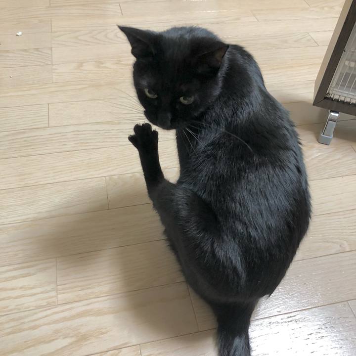 Cb1b1e3d c6b1 4cda 9404 ba6b5744e7f8 1610541945519