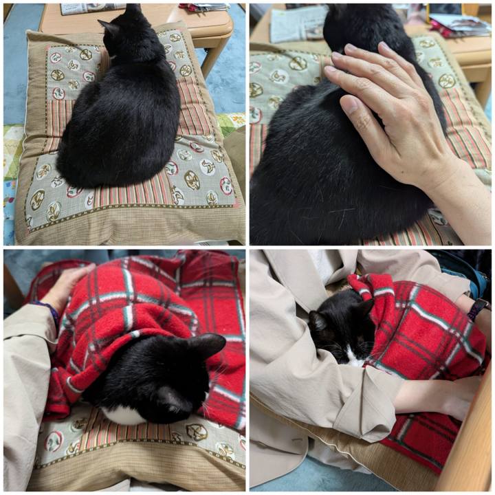 Cb1b781a b8f0 4c36 bd92 bd0d4f6bd882 1748411630240