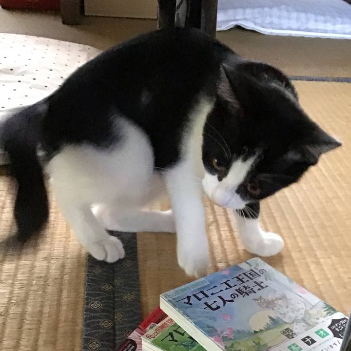 Cb1bc717 0b2b 47cc 87f9 f98d6d34e882 1628056750409