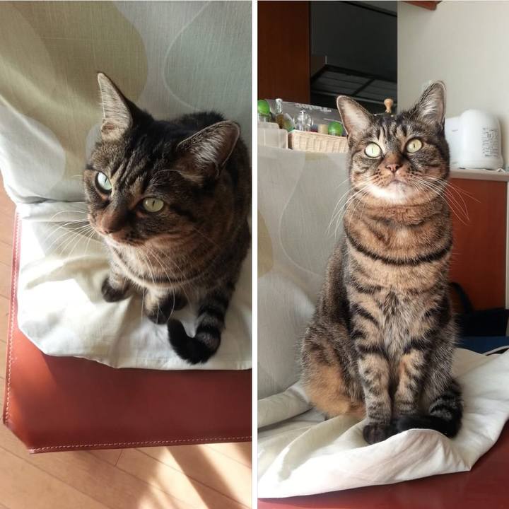 Cb1bd4b0 e09e 40f4 bd35 d17446e23397 1766921279780