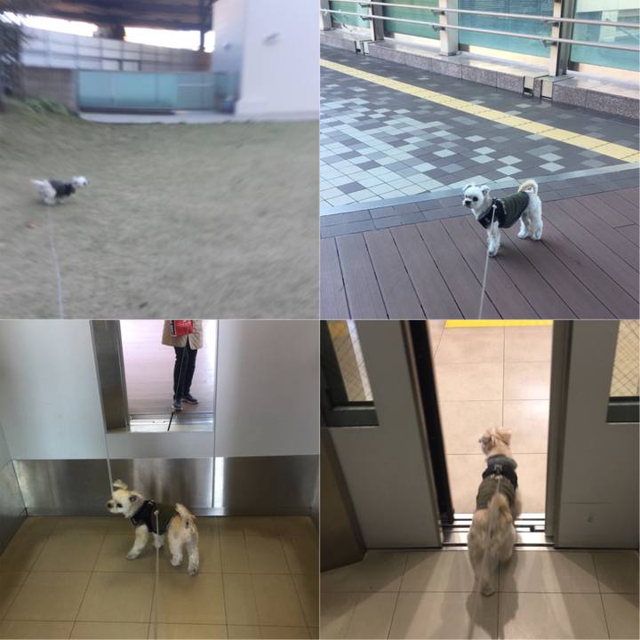 Cb1c103a e1f3 497c 8e7e 60b465816c0c 1542947412031