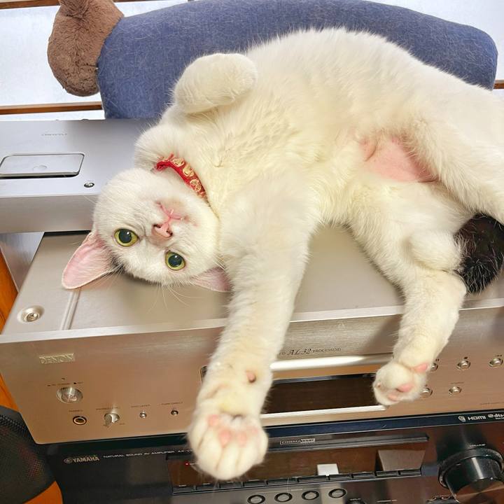 Cb1c24d5 ee57 4eb2 9a16 8fd4f64aa762 1754953370080