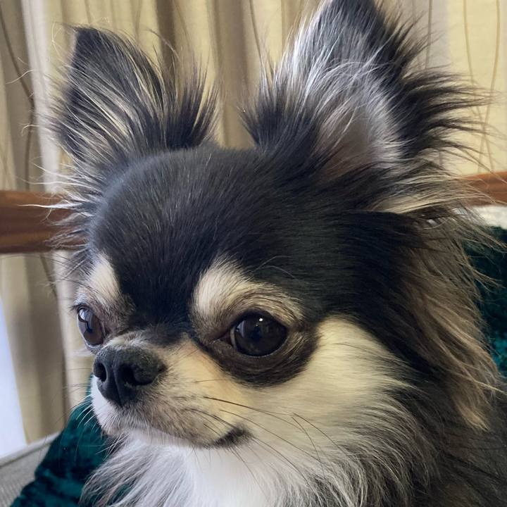 Cb1c4b73 8d6b 4e7d a3ac f4db52939f72 1636861009842