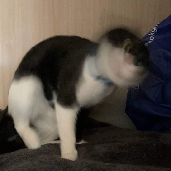 Cb1c4d24 ae80 45c4 b677 b87ba7bc094e 1711162641952