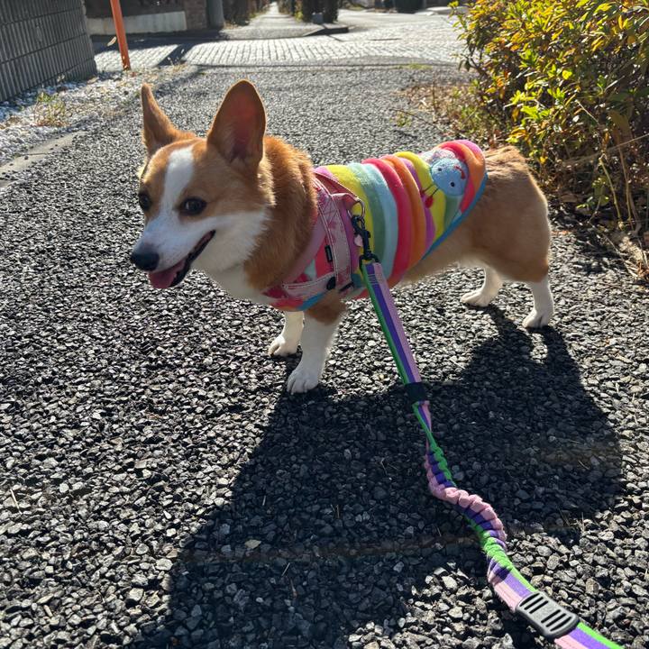 Cb1c5e52 3258 4628 9a62 c6a18122c034 1765338687316