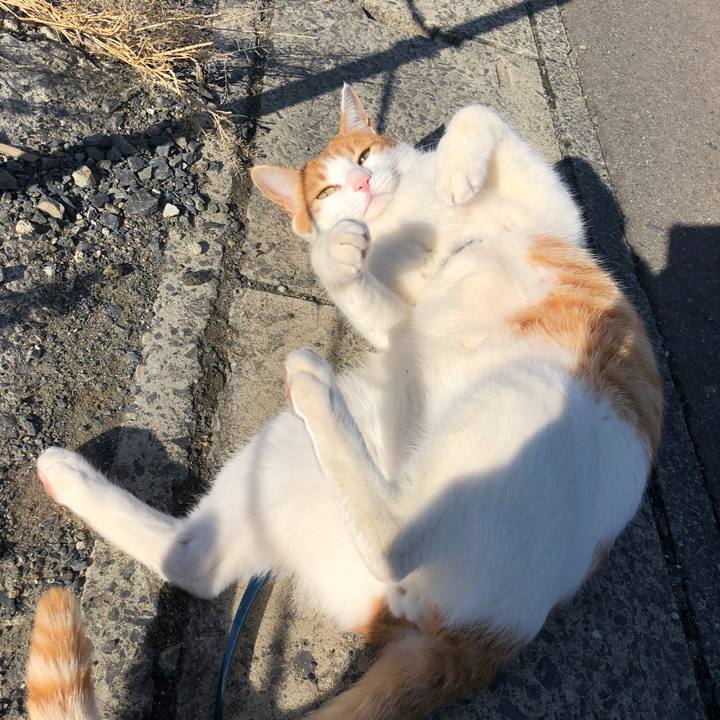 Cb1c60e0 f99e 47ee 8fe6 2e7f78a135e9 1550741216107