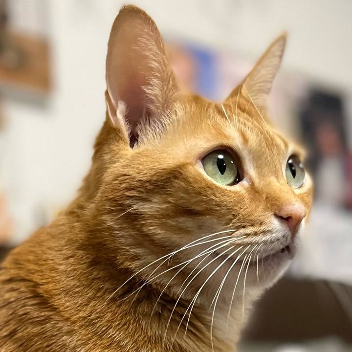 Cb1c6e31 4c2b 4790 8508 a0d1072ebf6e 1643409187778