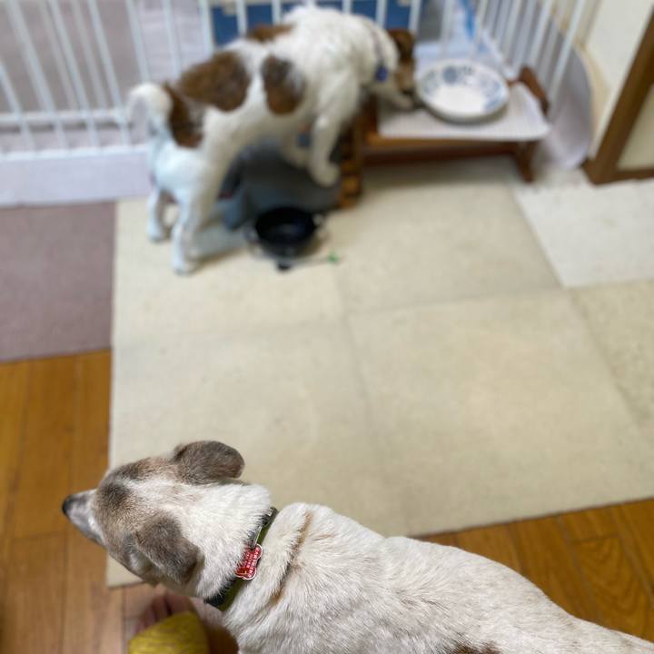 Cb1c721d 36e7 446a b807 9d5deca9a306 1718144538636