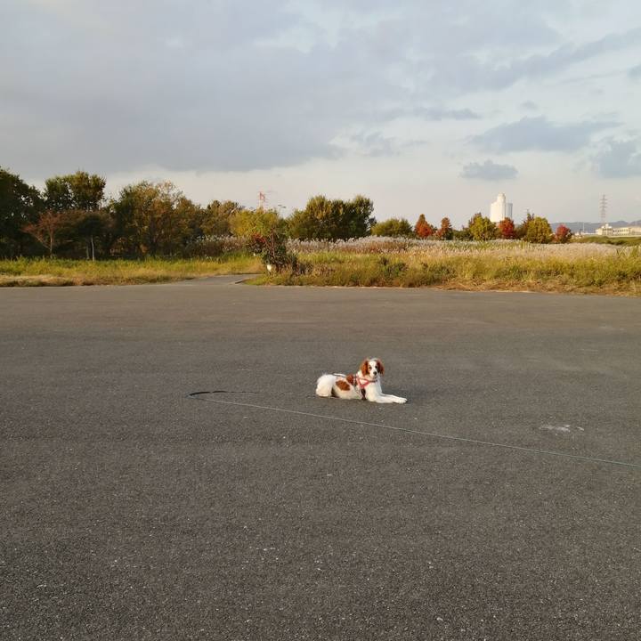 Cb1c7a12 cf24 4948 8bf2 fadbaa258631 1605517770725