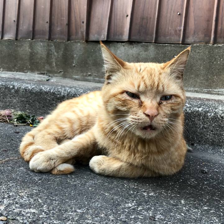 Cb1ca3b9 7bfe 48e9 b239 0b10e81a272f 1523738824700