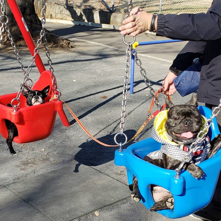 Cb1ccafe c9a8 403c 8ed7 b3918675b7bb 1546832853048