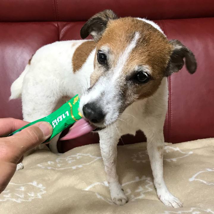 Cb1cde3b 005c 490b 9083 0e080bacd8a9 1556772414106