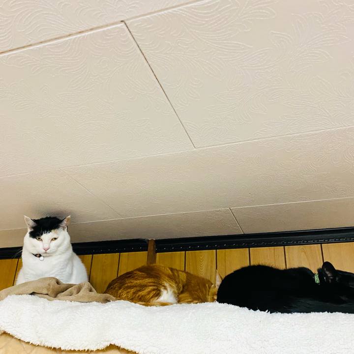 Cb1cdf7e 8c25 4626 9631 159dd37d332d 1671141296880