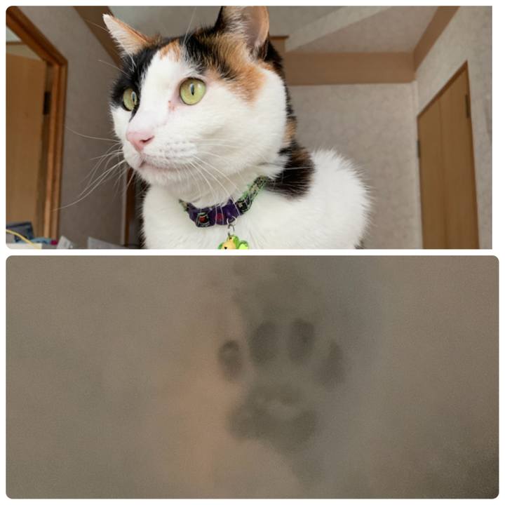 Cb1d4801 c4ed 4eb8 ac87 57e3e0d97c7c 1610110029425