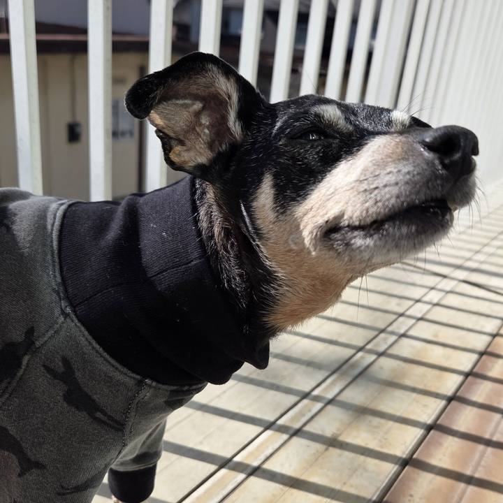 Cb1d6579 0eab 42b7 9fde a7cf74c35c6f 1770005516623