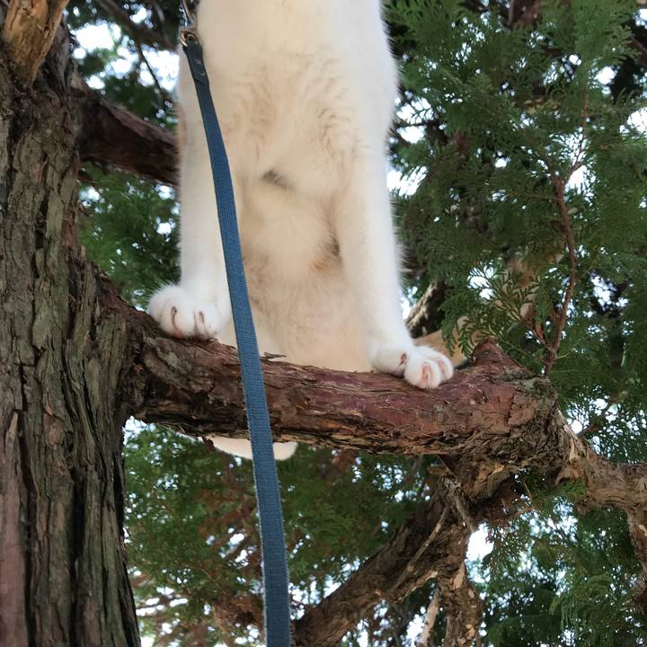 Cb1d8f25 ac9c 46c2 90ea e2fe0f8a49fc 1513139321435