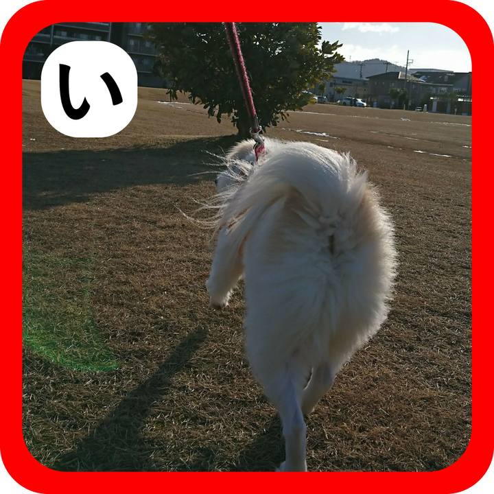 Cb1db3aa 3e1c 4f23 b157 a867ca7654a8 1514856914636