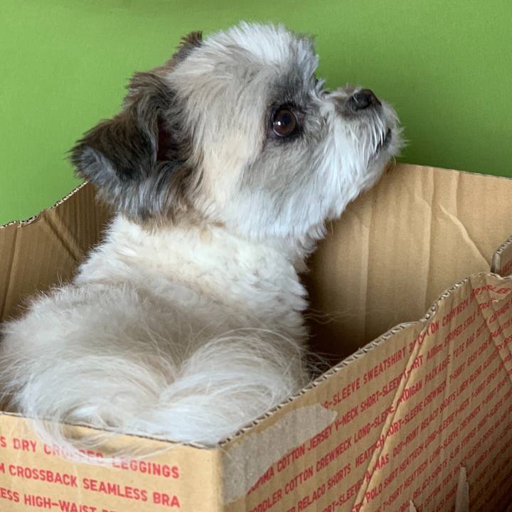 Cb1dbbb8 a907 4ee3 9e50 c13a29763987 1557398591889