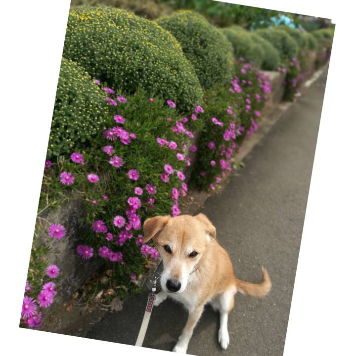 Cb1dcc1d 4a18 4f1d 8bc1 7109ed6c4b4b 1539730887681