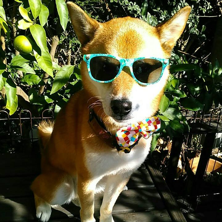 Cb1dd34b fecf 4c34 92c2 a21527da1e42 1570597583362