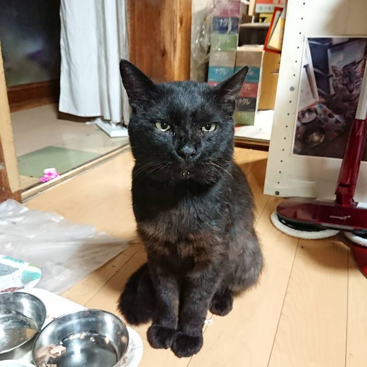 Cb1df0b7 948b 45e3 a56f d2090bb75166 1625919485040