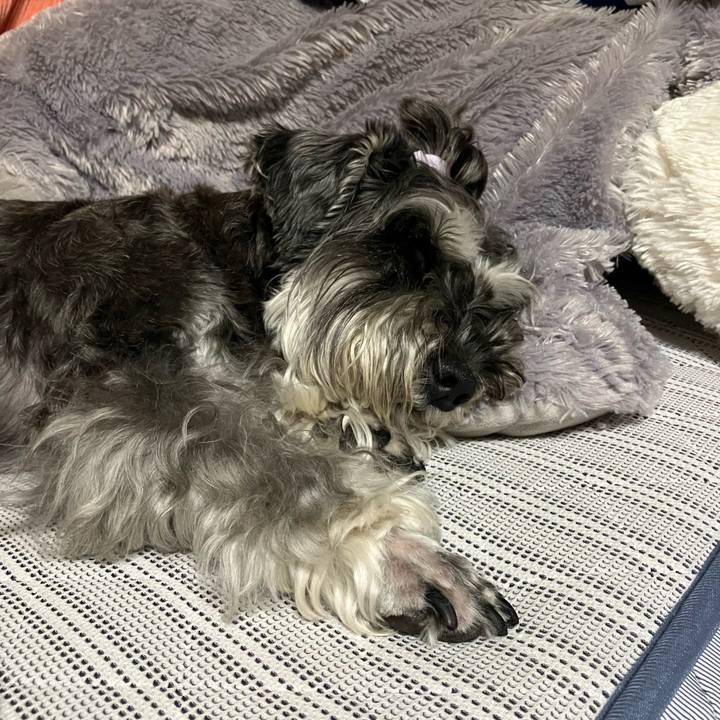 Cb1df8be b895 403f 86cf eae2c21ab568 1726319910817