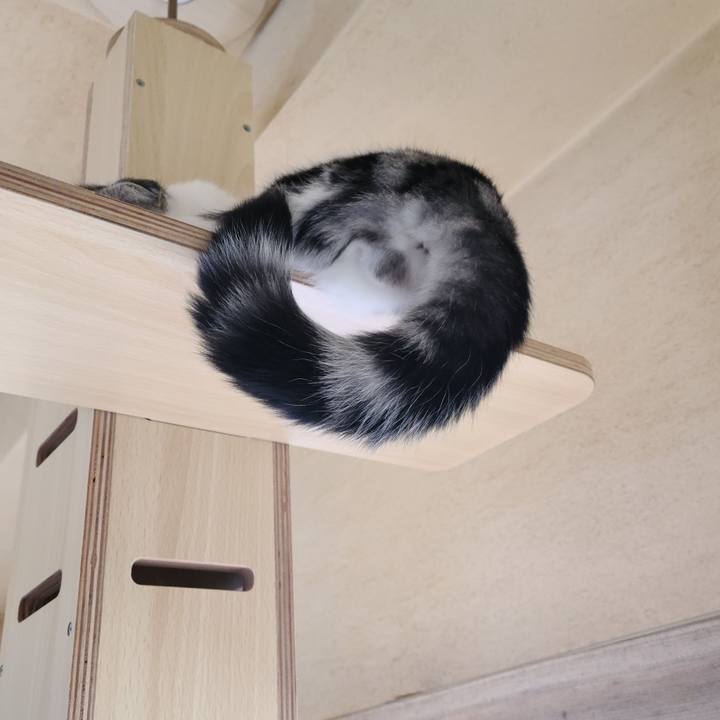 Cb1e0245 10c4 4f42 934a c2461e293aa4 1637710093244