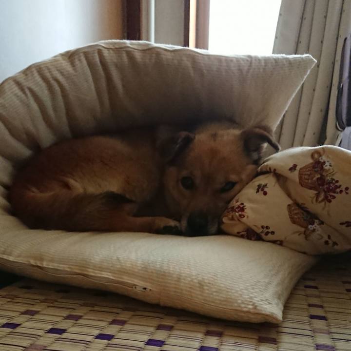 Cb1e4097 80cf 43bc 9203 1b7392618431 1546950789718