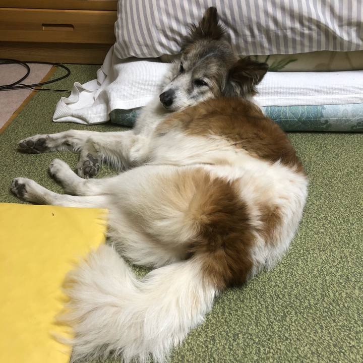 Cb1e5257 1715 4198 be23 22e0df8affab 1541116643361