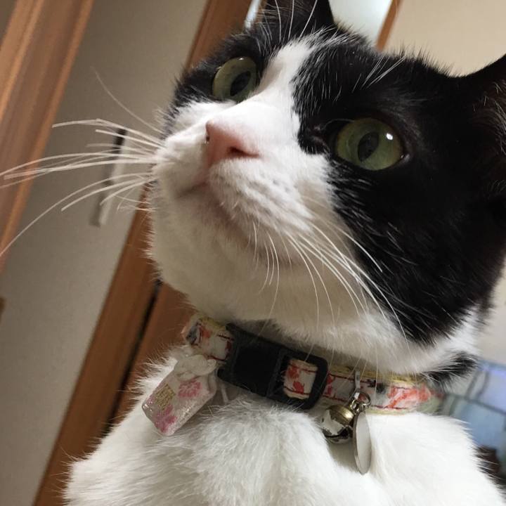 Cb1e55a7 95fa 4b97 a40d d8189ac09934 1514893164715