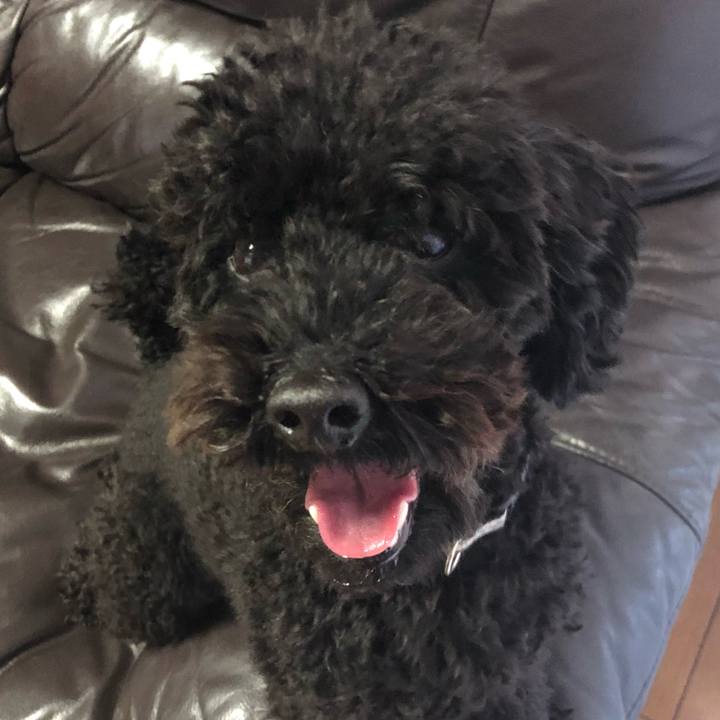 Cb1e8153 cd90 4291 b28a 986b99721fdf 1546216755677