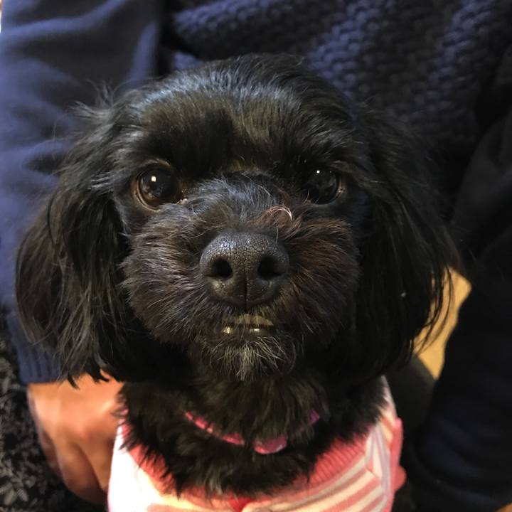 Cb1e8c47 55c7 4dc5 8151 c540b55e3108 1514984254567