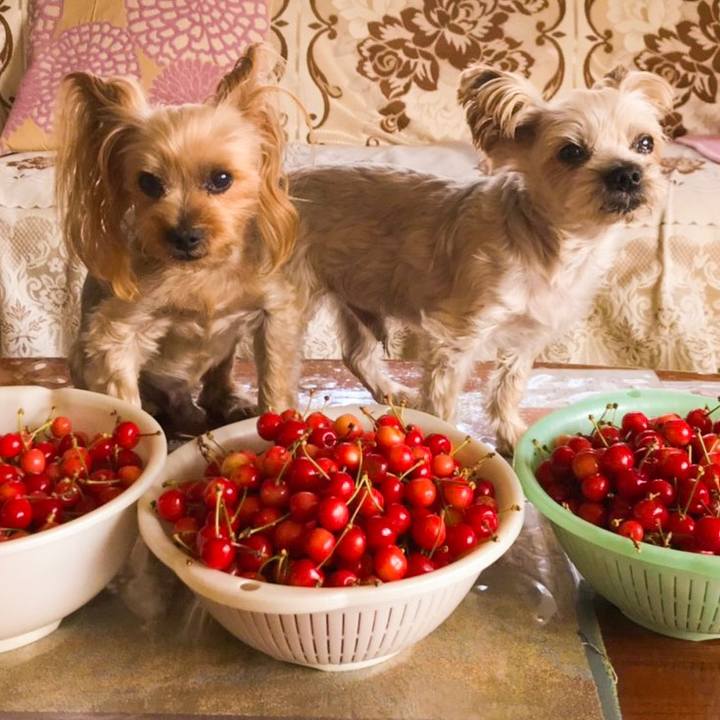 Cb1e919e 15da 463c bbe3 48c0dfd76902 1561096948576