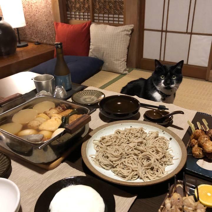 Cb1ea376 5d71 4733 85dc b68b4c6adc3c 1542973247562