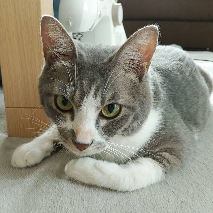 Cb1eae97 eb43 4cb9 bf44 bdc5875156ef 1593209042513