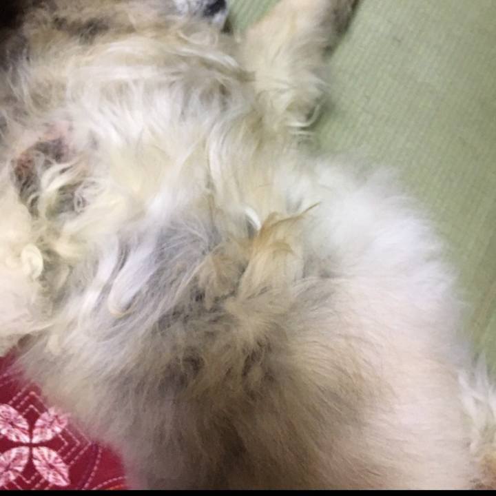 Cb1ed200 9afe 404e 84bc fa2cd744b29d 1595334923084