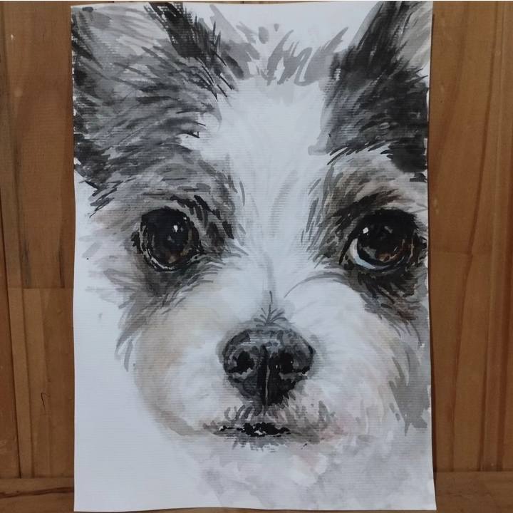 Cb1f6ce3 2f2e 4e3e 9c1b 944e1521e3fa 1719186796390