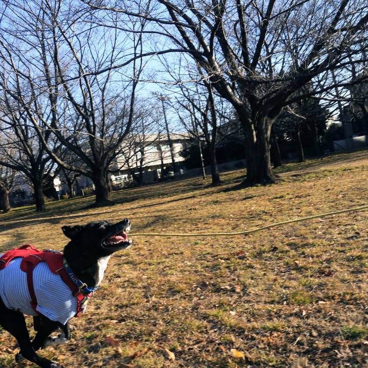 Cb1f7240 5b8b 4615 8d69 c70a3e795bbe 1673573758907