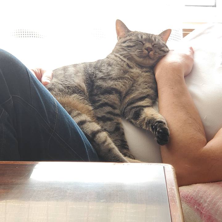 Cb1f7dbd 59bd 4b95 b1f7 972f0d657b67 1708064437181