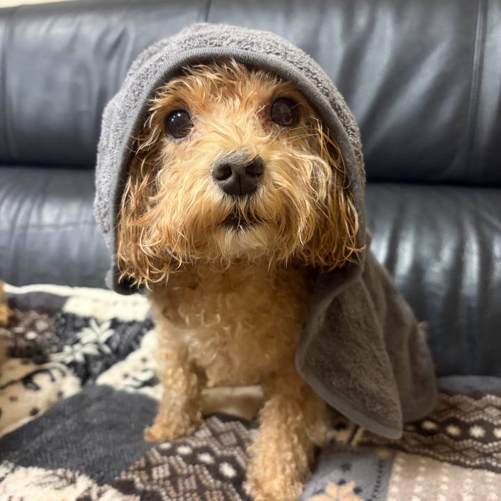 Cb1f85db 5185 4a35 b6b9 e0ded2389562 1759767759923