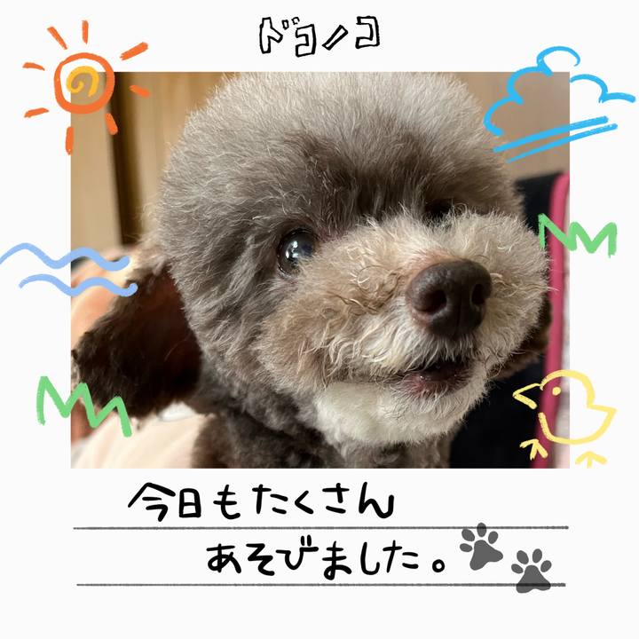 Cb1f9b75 c97d 45f5 a5db 395299e99a63 1755118187663