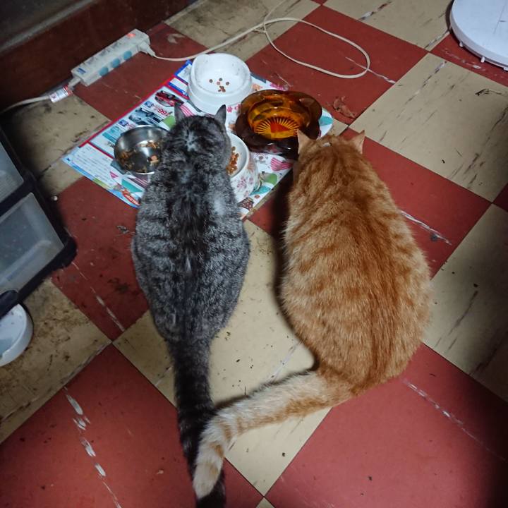 Cb1fb3e9 5b00 4303 93af 291d2fc23658 1593986583534