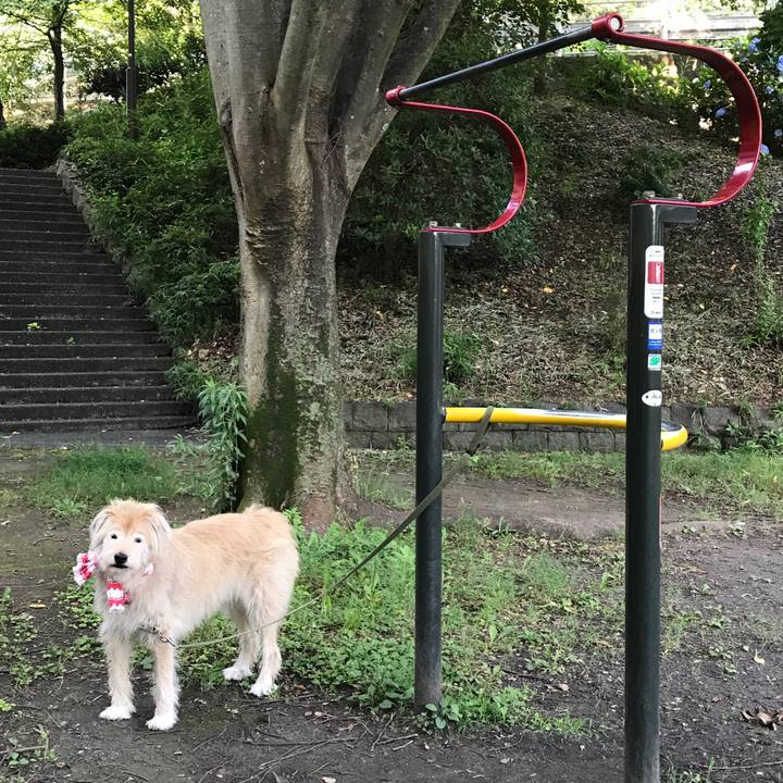 Cb1fcb37 d7e8 4ba2 9b94 0ccfa55af777 1624891584482