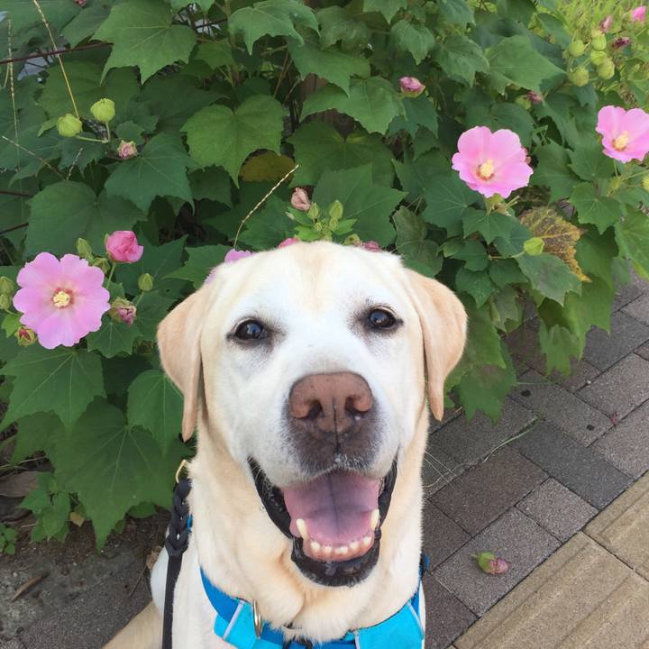 Cb1fcf4e 3dd1 4cfc 917d 74cbae6701ee 1564971675099