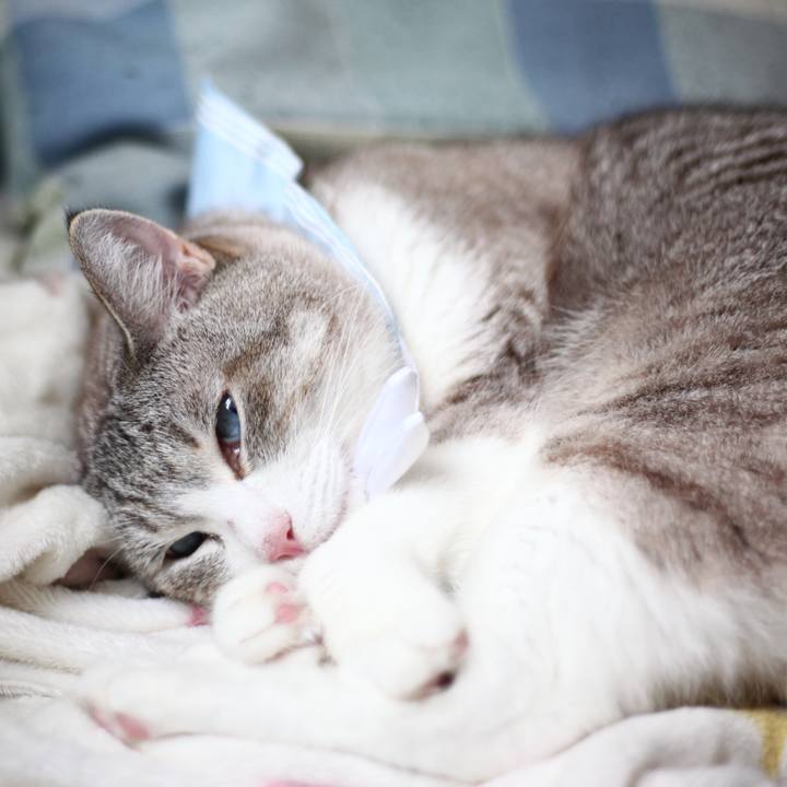 Cb1fff65 1229 49e0 9676 55dfe8b3e7ed 1658547541597