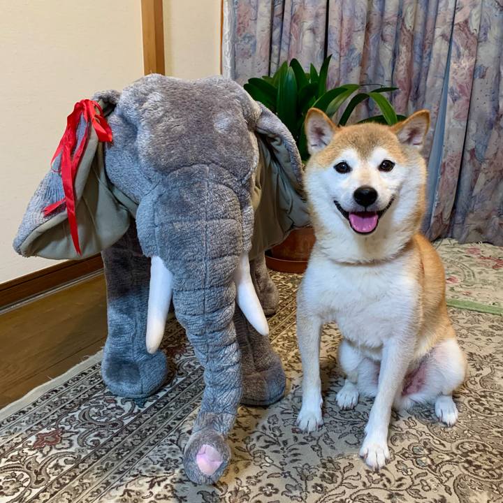 Cb20104a 38fe 4f93 9bf6 93aff0e4866e 1666435916246