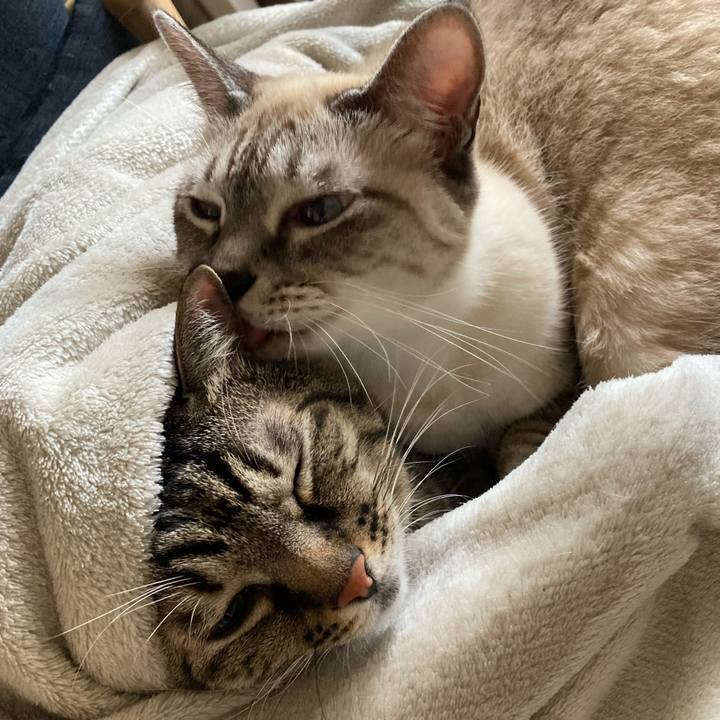 Cb2013f7 c0b6 4a83 8b8a 1601602d9791 1668057441806